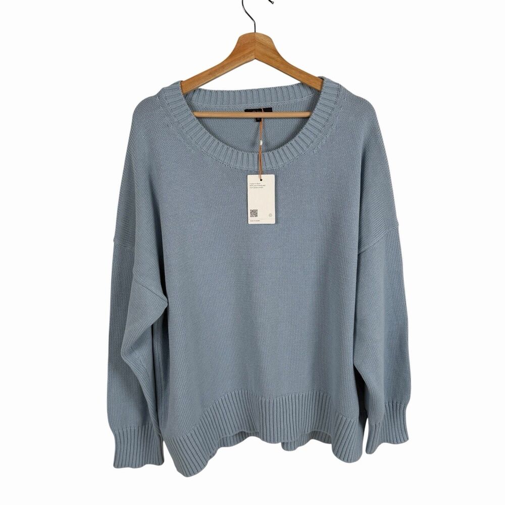 Quince Organic Cotton Boyfriend Crew Sweater 1X Sky Blue Minimalist Pullover